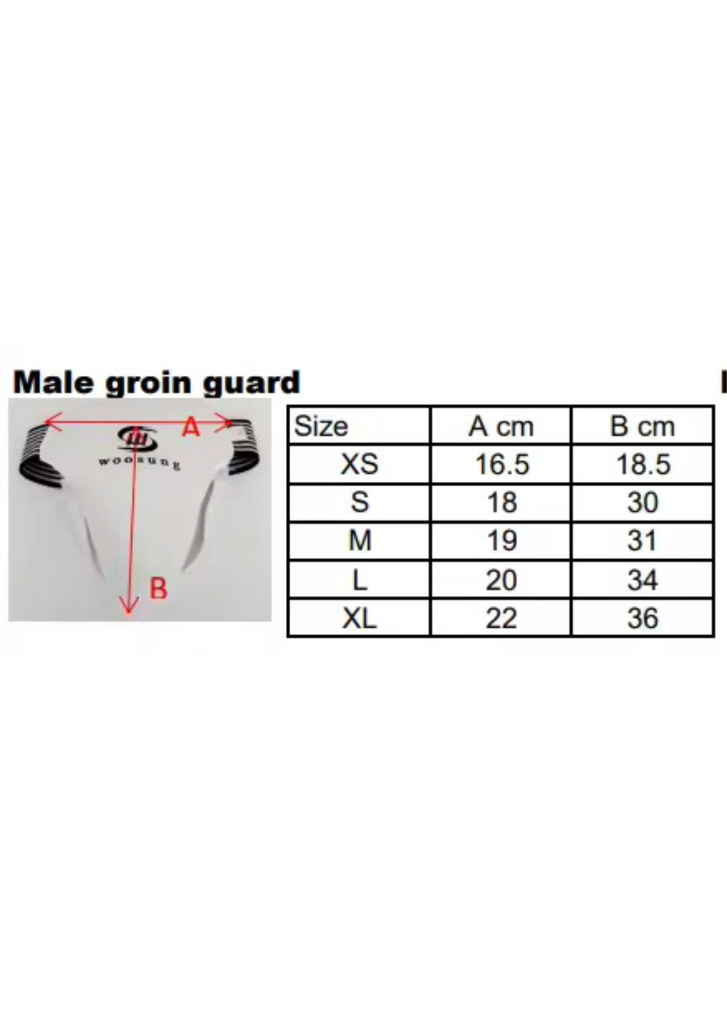 Groin protector Youth - Adult image 3