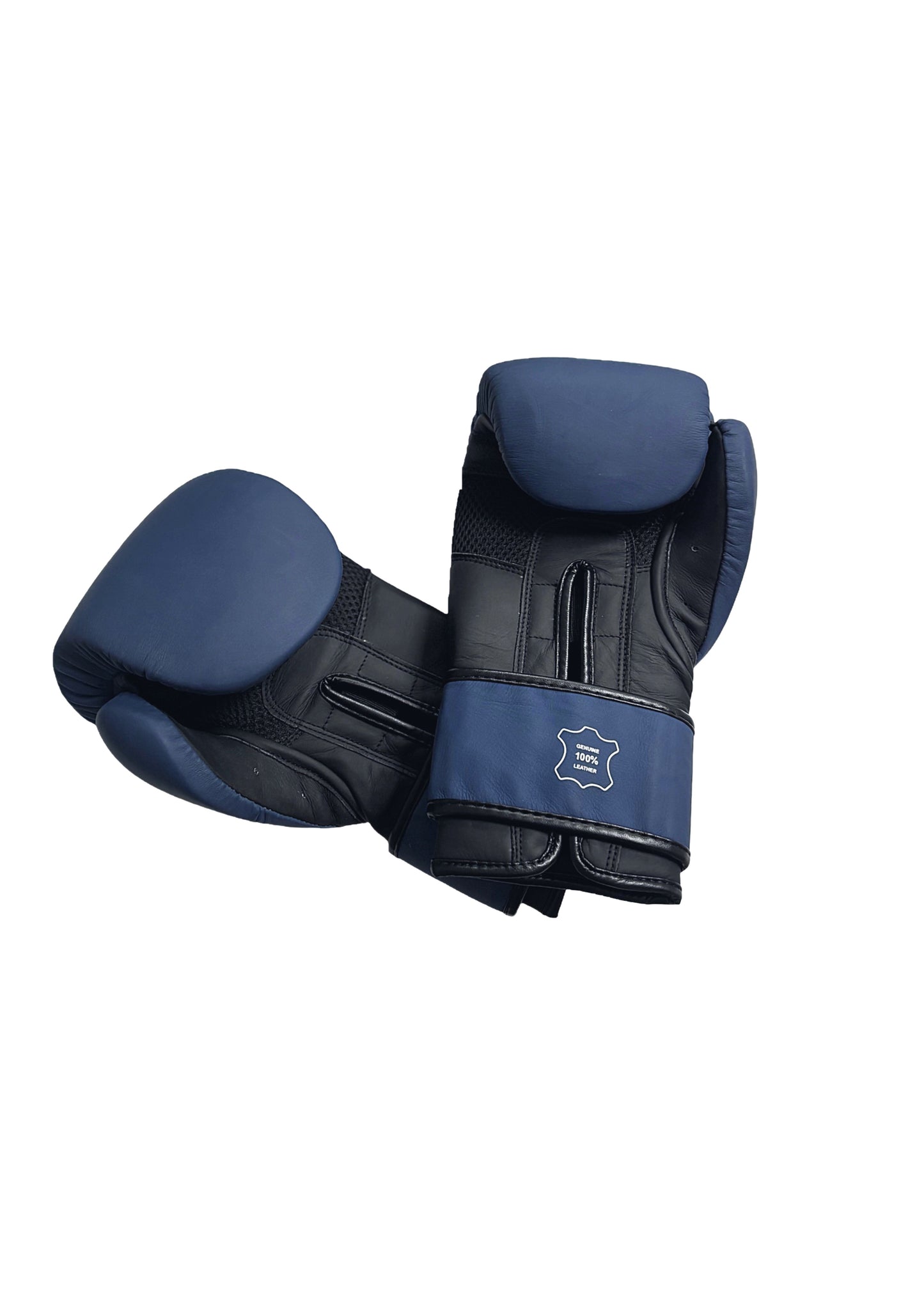 MFS Boxing Gloves 140z- 16oz Masters Range Matt Black & Blue