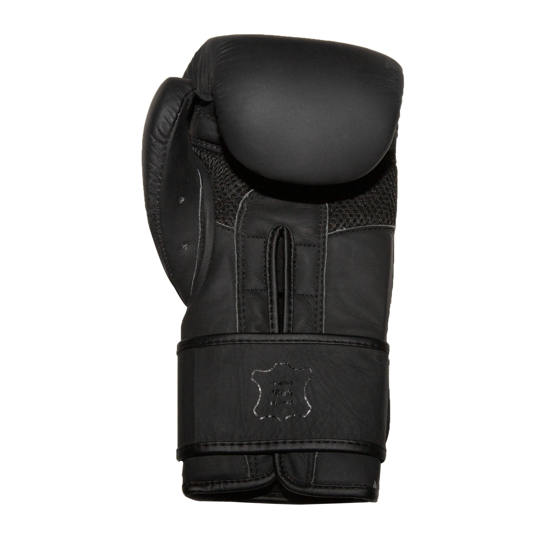 MFS Boxing Gloves 16oz - 14oz  Masters Range image 1