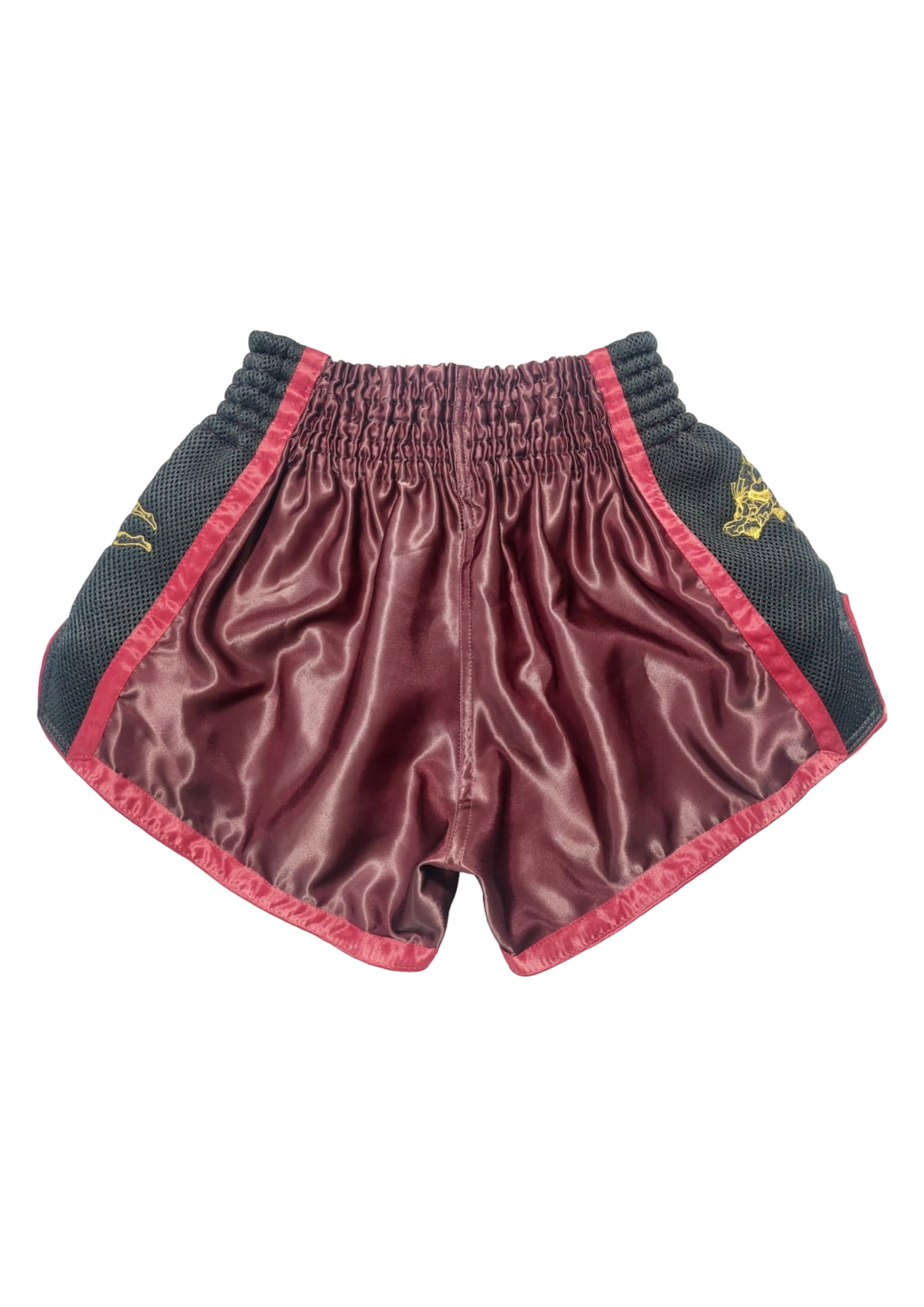 Muay Thai - Thai Boxing shorts image 1