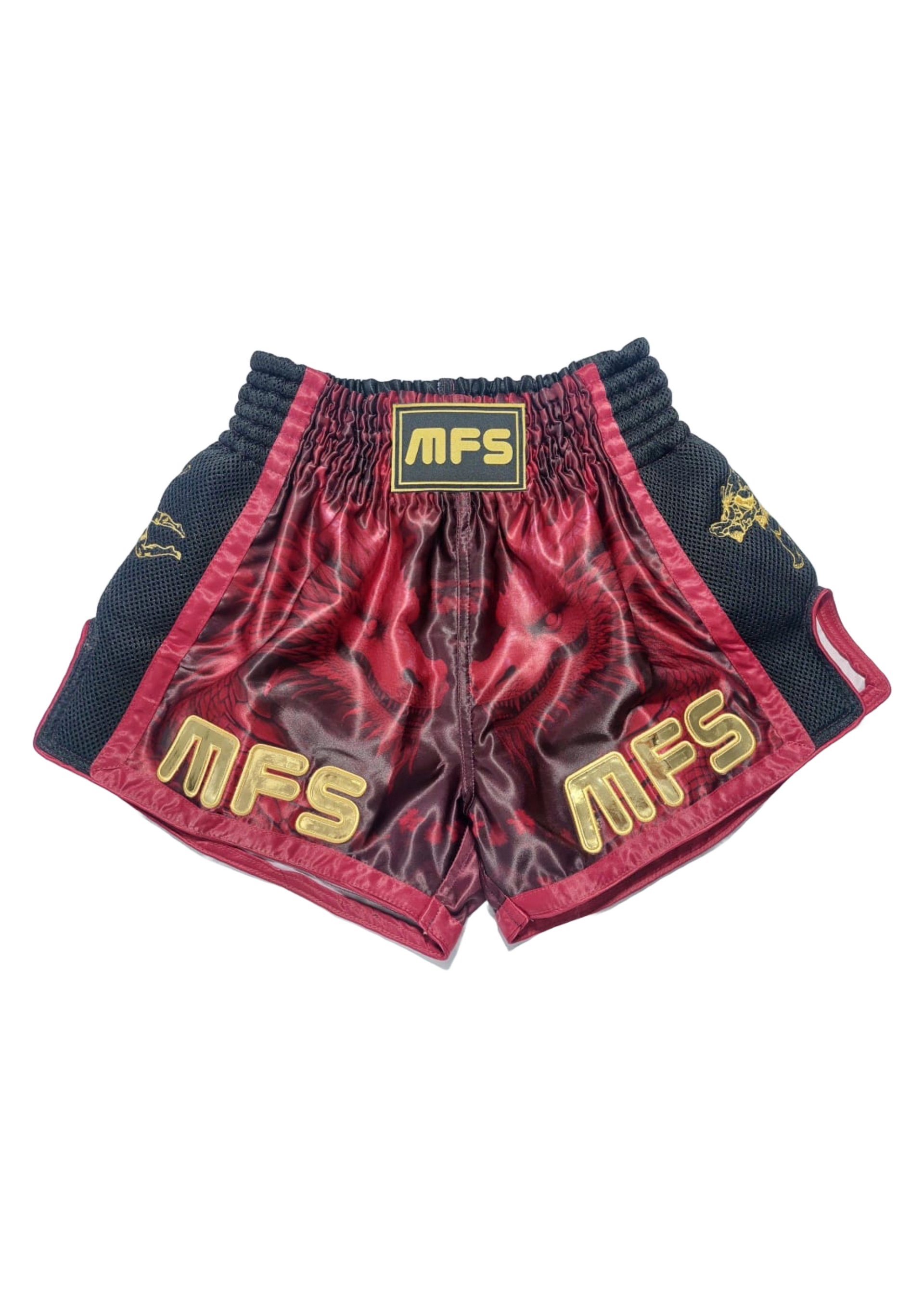 Muay Thai - Thai Boxing shorts image 0