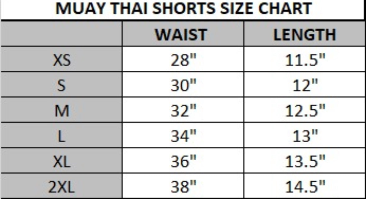 MFS Muay Thai Boxing Panther Shorts