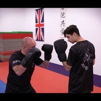 MFS Boxing Gloves 16oz - 14oz  Masters Range image 3