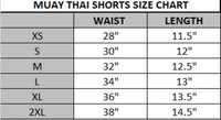 Muay Thai - Thai Boxing shorts image 7